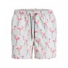 PRODUKT PRODUKT SWIM SHORTS METAL GREEN FLAMINGO MAN