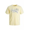 JACK & JONES  JACK & JONES TS JEJOSH NECK FRENCH VANILA/MELANGE  JR