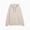 PUMA PUMA HOODY FL CAT LOGO SLIVER FOG WMNS 